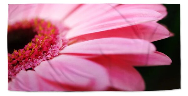 Sablio Uterák Ružová gerbera - 30x50 cm