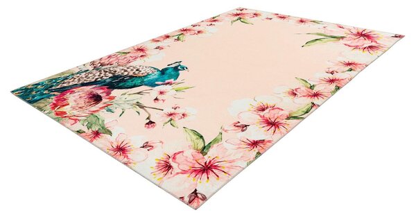 BEHÚŇ, 80/150 cm krémová, viacfarebná Kayoom - Online Only bytové doplnky, Online Only