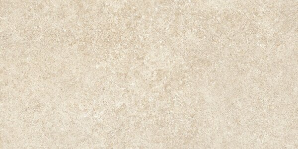 Pierre Bone 30x60 R