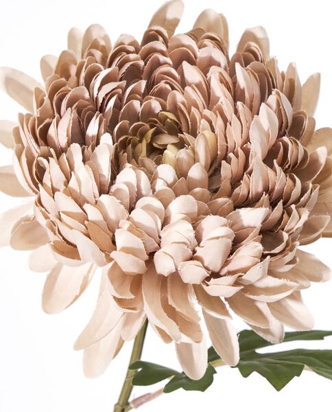 Umelý kvet Chrysanthemum Dusty Rose 60 cm