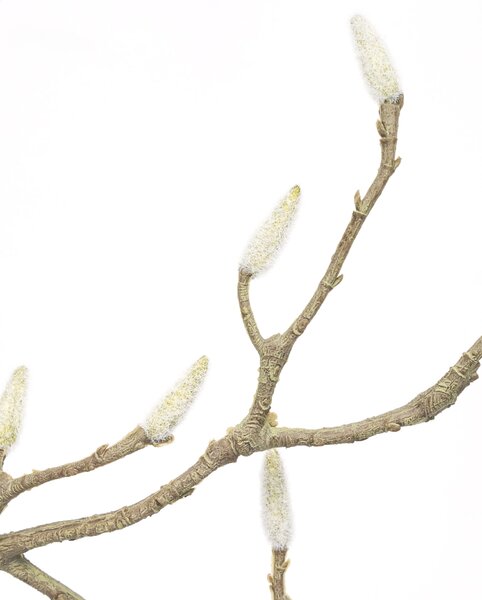 Umelý kvet Magnolia White 95 cm