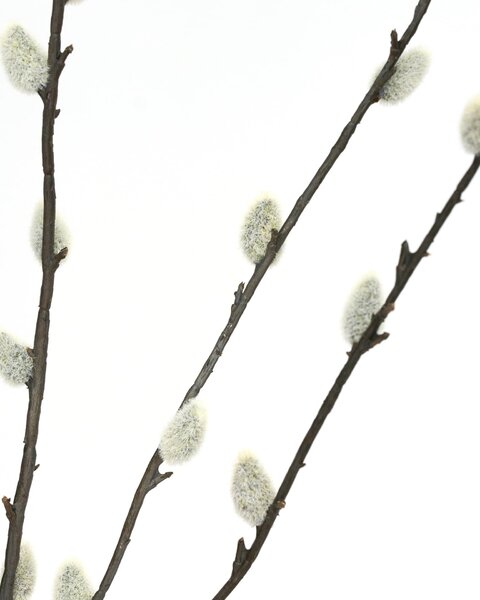 Umelý kvet Salix 95 cm