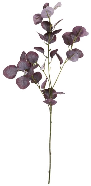 Umelý kvet Eucalyptus Burgundy 75 cm