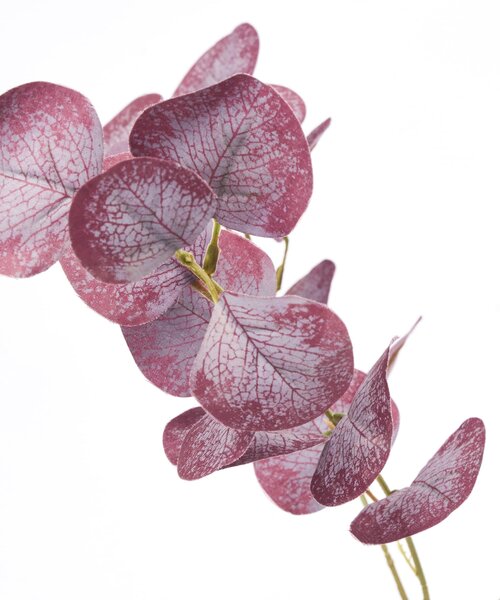 Umelý kvet Eucalyptus Burgundy 75 cm