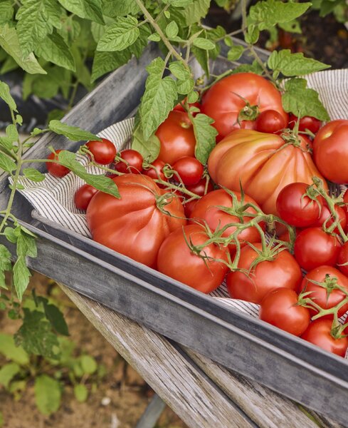 Kovová tácka Urban Garden Oblong Väčšia