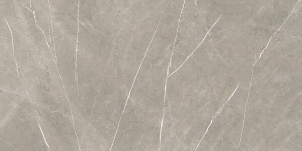 Eternal Taupe Natural 80x160 R