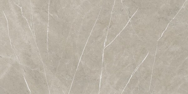 Eternal Taupe Pulido 80x160 R