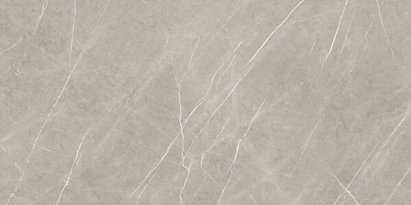 Eternal Taupe Pulido 80x160 R