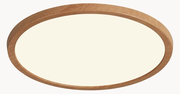 Malé stmievateľné stropné LED svietidlo Oja
