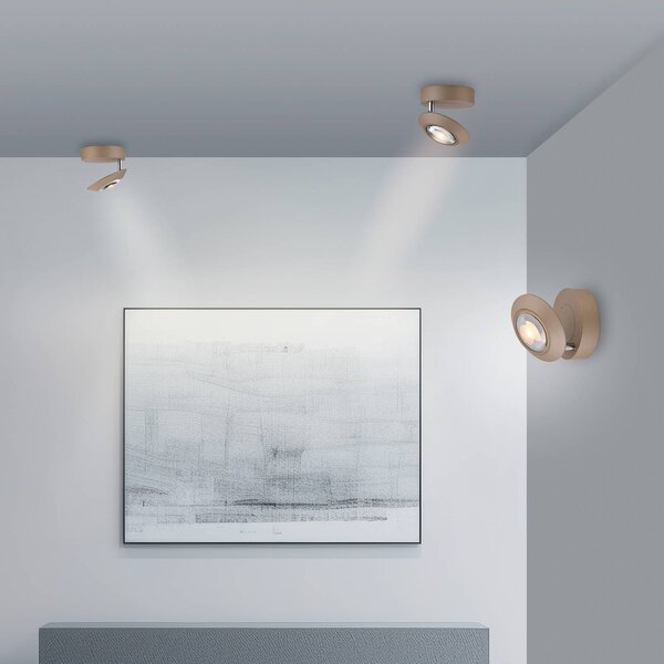 PURE stropné LED svetlo Oculis bronzová farba, Ø 15 cm železo/sklo, Hnedá / staromosadz, Obývacia izba / jedáleň, Moderný, Závesné svietidlo