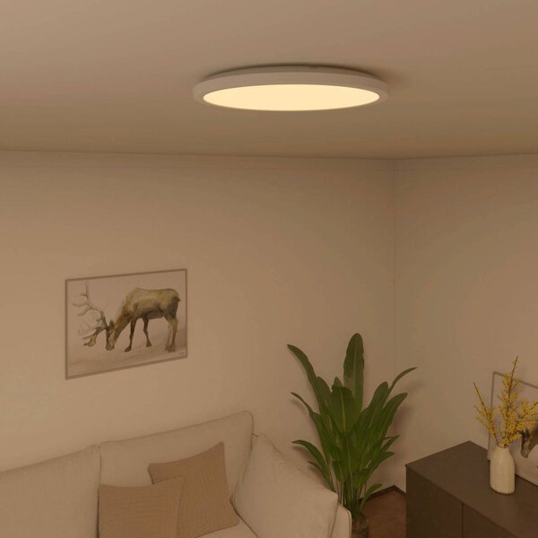 Stropné svietidlo Calex Smart Halo LED, Ø 29,2 cm, Biela / opálová, Obývacia izba / jedáleň, Plast, Moderný, Závesné svietidlo