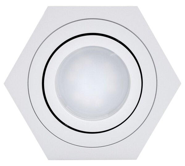 Stropné svietidlo ARENO 1xGU10/30W/230V biela