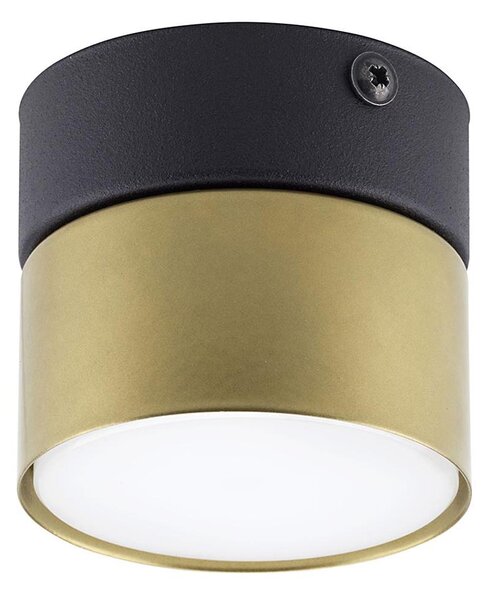 Bodové svietidlo SPACE GOLD 1xGX53/15W/230V