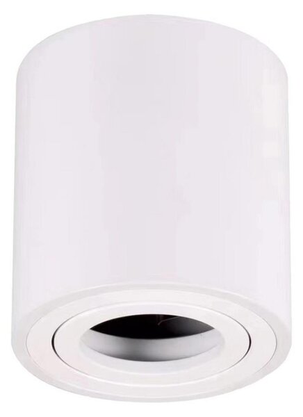 Bodové svietidlo BIMA 1xGU10/25W/230V okrúhly biela