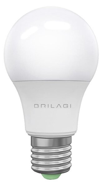 LED Žiarovka ECOLINE A60 E27/15W/230V 6500K - Brilagi