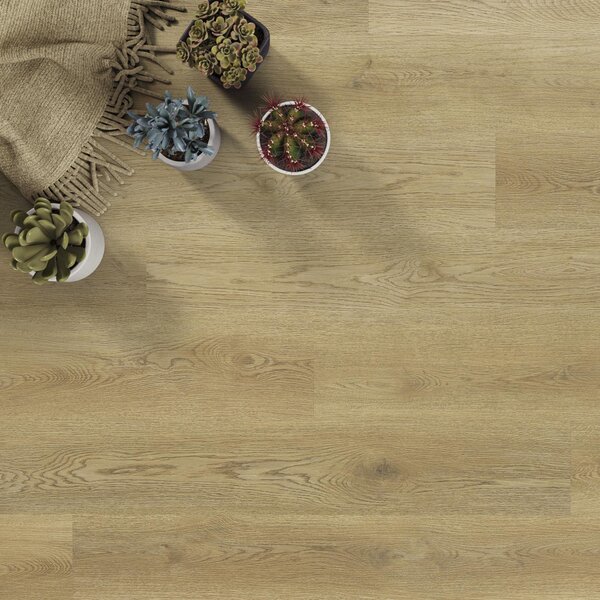 Afirmax BiClick Floor Dub Noble CBC 42432 2,20 m²