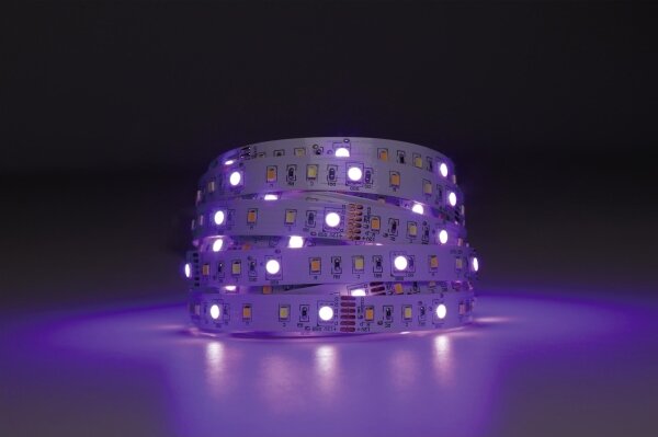 Eglo 99686 - LED RGBW Stmievateľný pásik 5m LED/11W/12/230V 2700-6500K