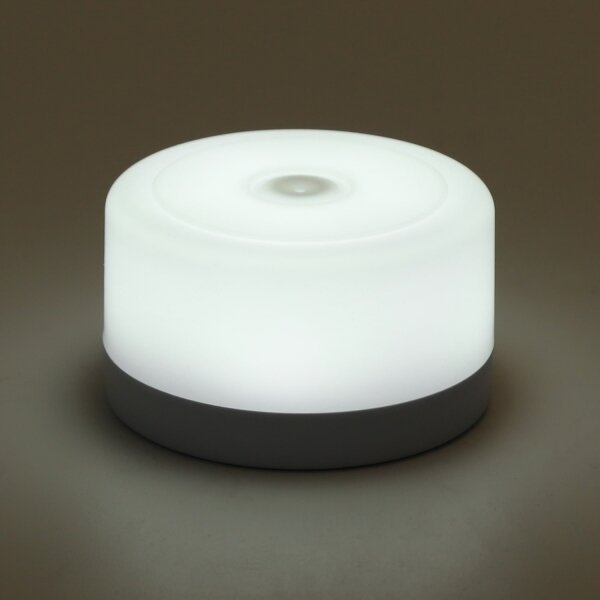 Aigostar - LED Stmievateľné prenosné nočné svietidlo LED/1W/5V 6500K+ USB