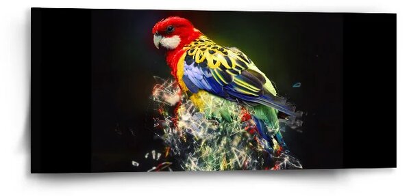 Sablio Obraz Farebný papagáj - 110x50 cm