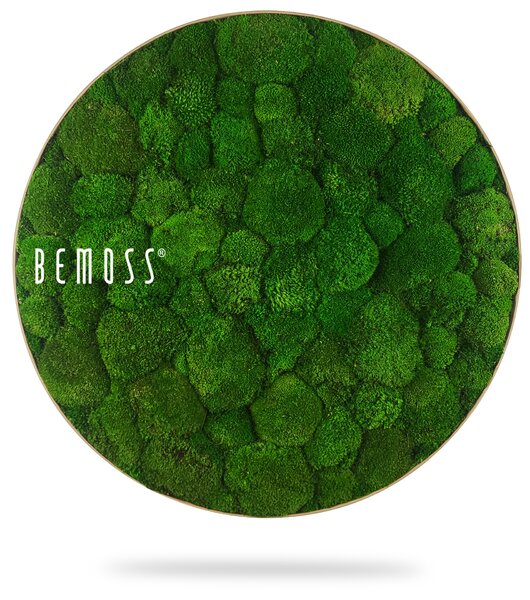 Machový obraz kruh Bolmoss Natural Green