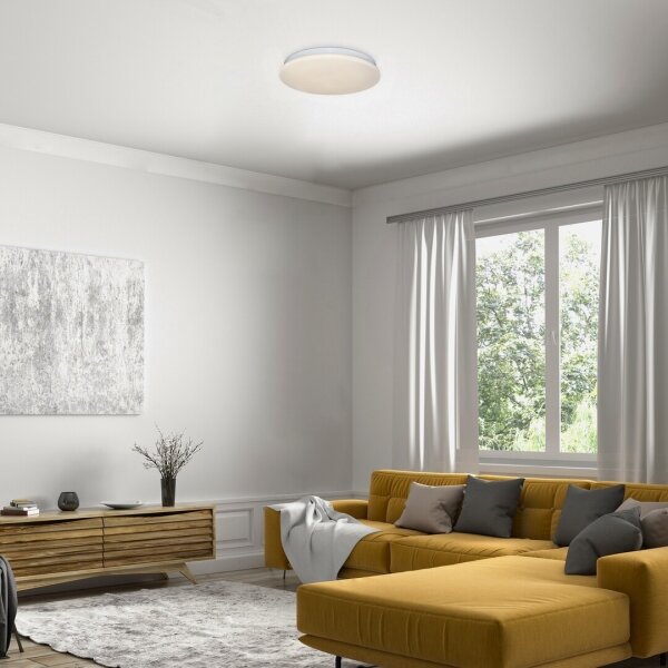 Rabalux 71101 - LED stropné svietidlo VENDEL LED/12W/230V 3000K 25 cm