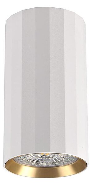 Bodové svietidlo NICEA 1xGU10/10W/230V biela