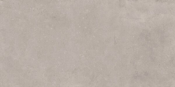 Arkety Grey Anti-Slip 60x120 R