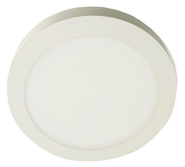 LED Stropné svietidlo GERRIT LED/12W/230V 4000K biela