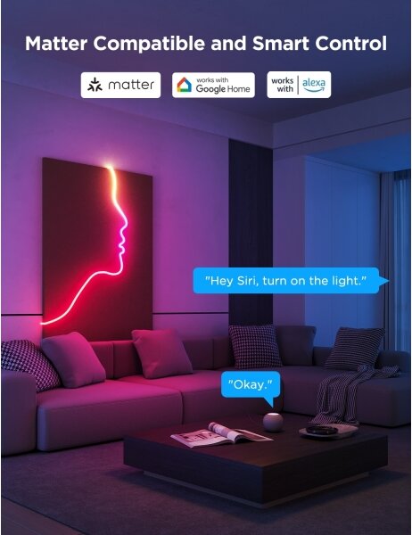 Govee - Neon 2 MATTER ohybný LED pás 3m RGBIC Wi-Fi