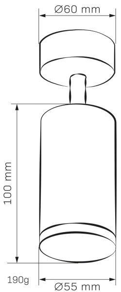 Kúpeľňové bodové svietidlo TURYN 1xGU10/10W/230V IP44 biela