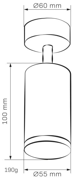 Kúpeľňové bodové svietidlo TURYN 1xGU10/10W/230V IP44 čierna