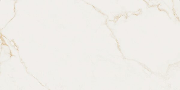 Finezza Oro Pulido 60x120 R