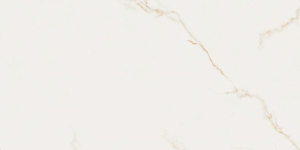 Finezza Oro Pulido 60x120 R