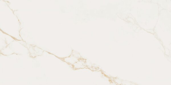 Finezza Oro Pulido 60x120 R