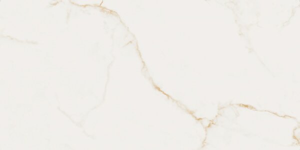 Finezza Oro Pulido 60x120 R