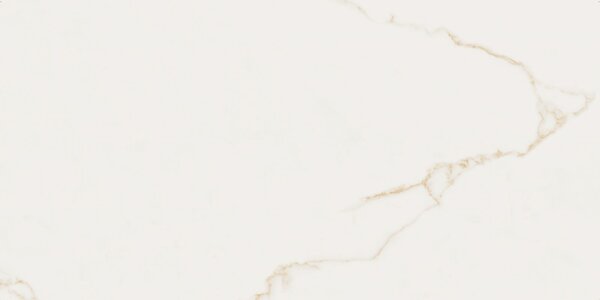 Finezza Oro Pulido 60x120 R