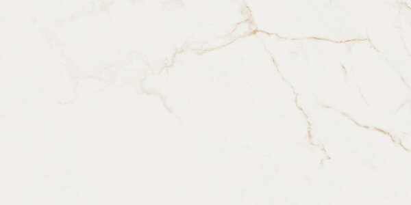 Finezza Oro Pulido 60x120 R