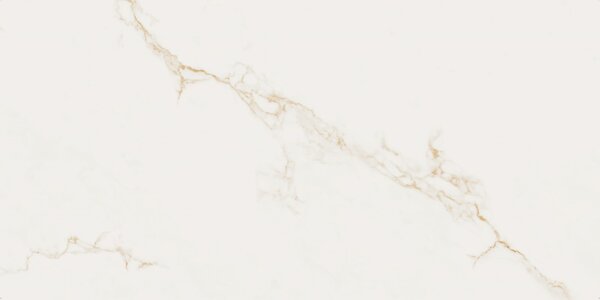 Finezza Oro Pulido 60x120 R