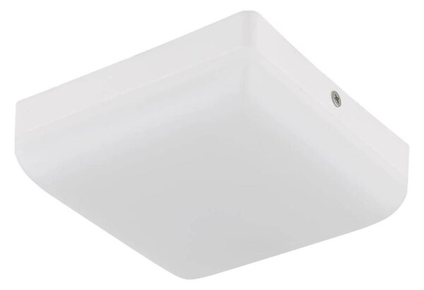 Globo 12388-8W - LED Stropné svietidlo MATTHEW LED/8W/230V biela