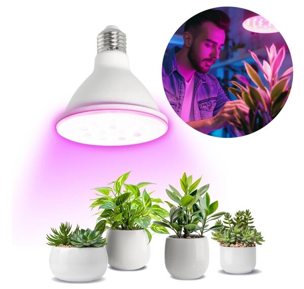 LED Žiarovka na rast rastlín VITABLOOM E27/9W/230V 1200K biela - Brilagi