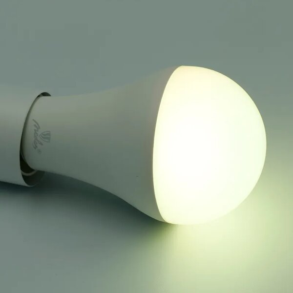 LED RGBW Stmievateľná žiarovka A60 E27/15W/230V 2700-6500K Wi-Fi Tuya