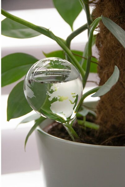 Sklenená zavlažovacia guľa 175 ml Globe - Esschert Design
