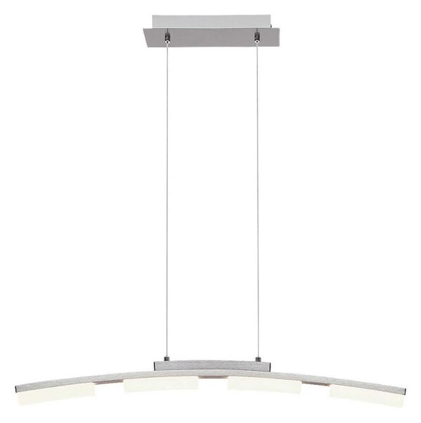 Rabalux 2957 - LED Stmievateľný luster na lanku EUCALYPTUS LED/20W/230V