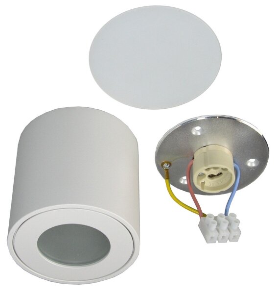 Vonkajšie stropné svietidlo FARA 1xGU10/50W/230V IP54 biela
