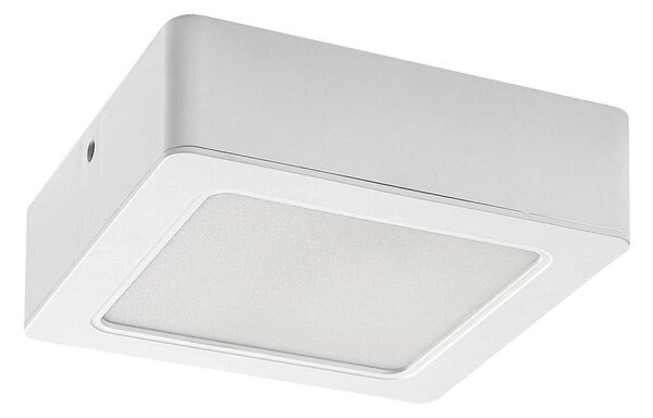 Rabalux 3174 - LED Stropné svietidlo SHAUN LED/12W/230V 14,5 cm