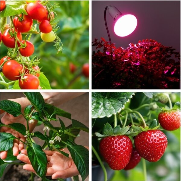 Flexibilná stolná lampa s klipom PLANTY 1xE27/30W/230V biela