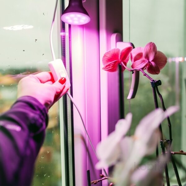 LED žiarovka PLANTY E27/7W/230V 1200K čierna pre rast rastlín