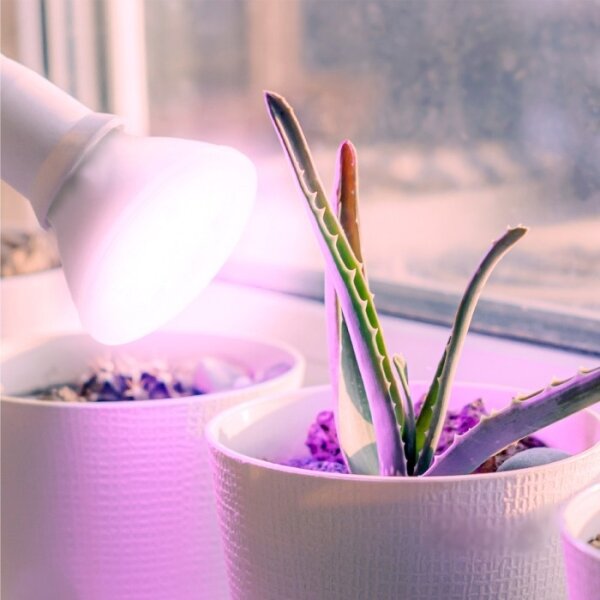 LED žiarovka PLANTY E27/7W/230V 1200K biela na rast rastlín