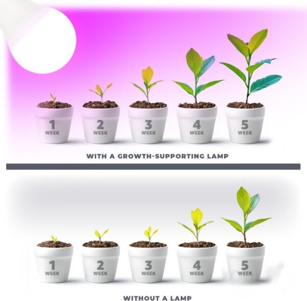 LED žiarovka PLANTY E27/11W/230V 1200K biela na rast rastlín