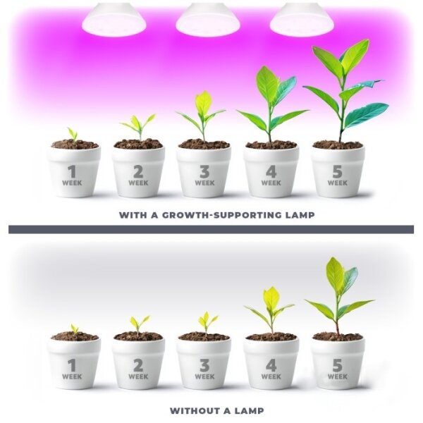 LED žiarovka PLANTY E27/7W/230V 1200K biela na rast rastlín